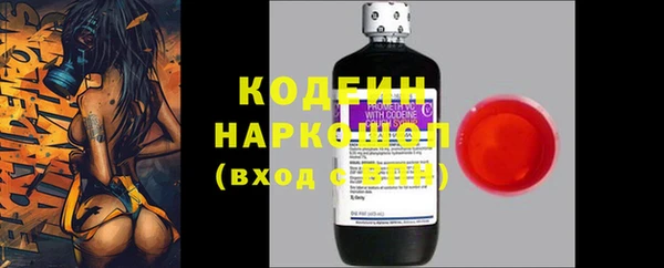 амф Корсаков