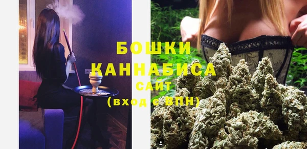 ГАЛЛЮЦИНОГЕННЫЕ ГРИБЫ Коряжма