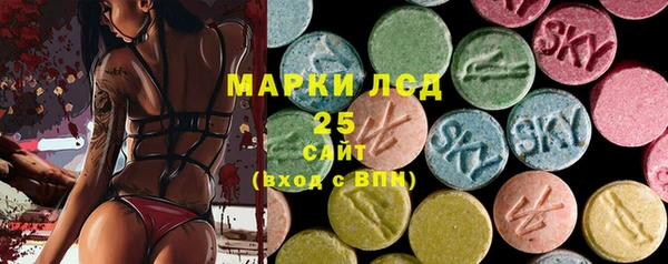ГАЛЛЮЦИНОГЕННЫЕ ГРИБЫ Коряжма