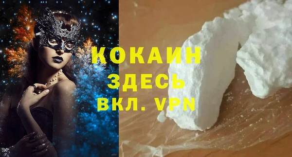 ГАЛЛЮЦИНОГЕННЫЕ ГРИБЫ Коряжма