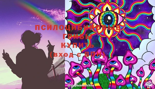 амф Корсаков
